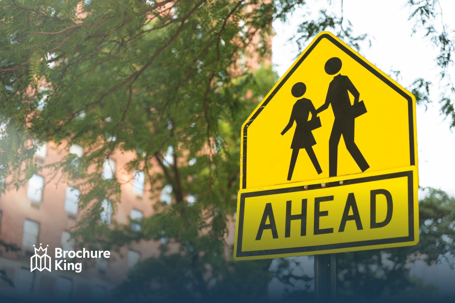 Sidewalk Signs & A-Frames: Placement, Rules & Durability